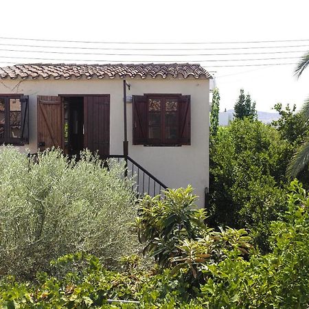 Avli-The Courtyard Ξενοδοχείο Λευκωσία Εξωτερικό φωτογραφία
