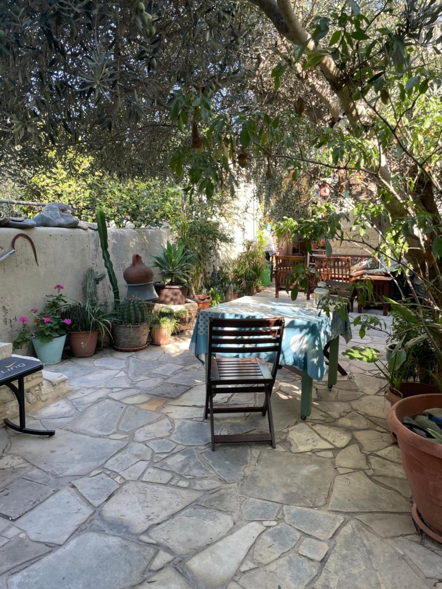 Avli-The Courtyard Ξενοδοχείο Λευκωσία Εξωτερικό φωτογραφία