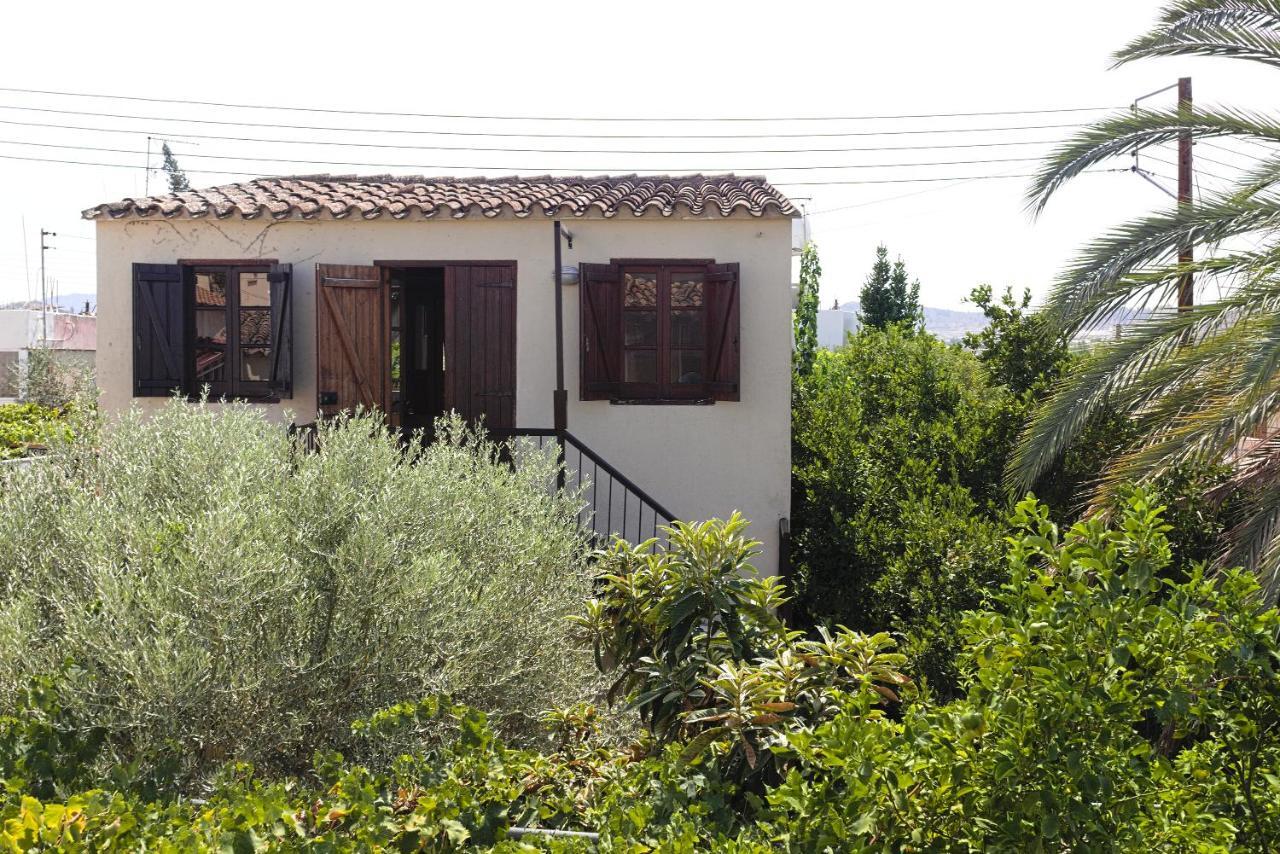 Avli-The Courtyard Ξενοδοχείο Λευκωσία Εξωτερικό φωτογραφία